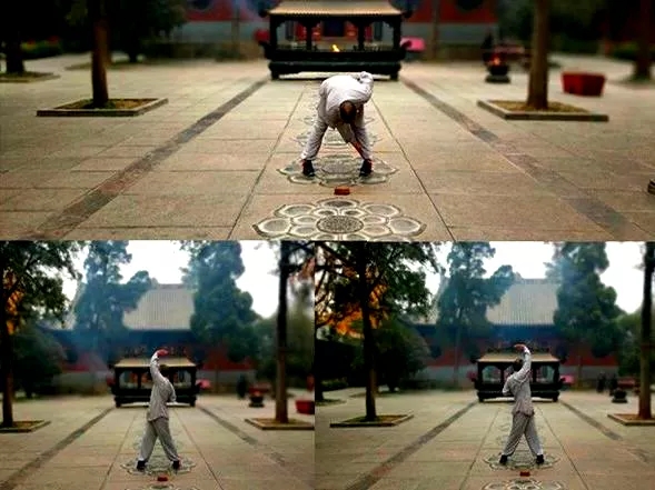 河洛八寶通背強腎功(圖2) 河洛八寶通背強腎功(圖2)